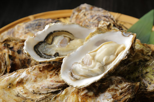 生牡蠣　Oysters
