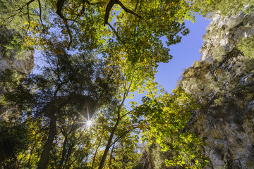 Beautiful fall color of Switzer Falls Trail
