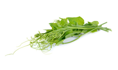 fresh chayoted leaves and stem on white background