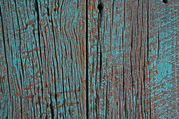 Fototapeta na wymiar close up of rustic barn wood painted with turquoise paint