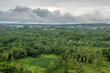 chocolate hills in Bohol