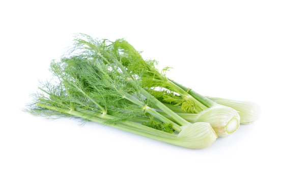 fresh organic fennel with stem on white background