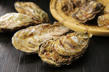 生牡蠣　Oysters