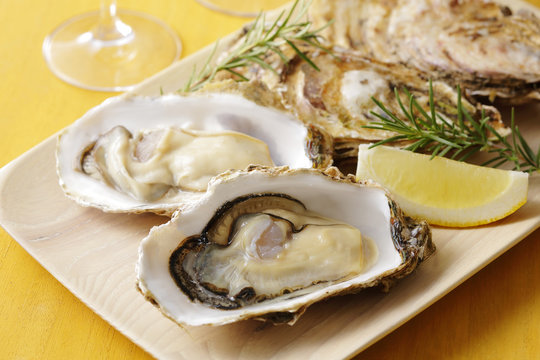 生牡蠣　Oysters