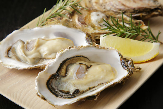 生牡蠣　Oysters