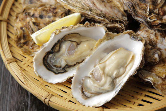 生牡蠣　Oysters