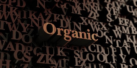 Organic - Wooden 3D rendered letters/message.  Can be used for an online banner ad or a print postcard.