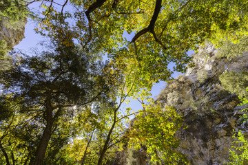 Beautiful fall color of Switzer Falls Trail