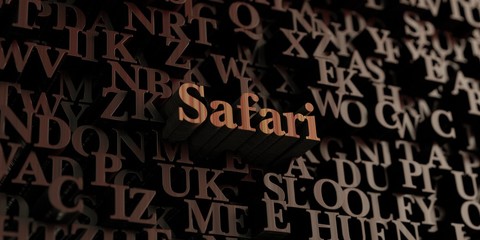 Safari - Wooden 3D rendered letters/message.  Can be used for an online banner ad or a print postcard.