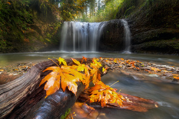Autumn at Hidden Falls