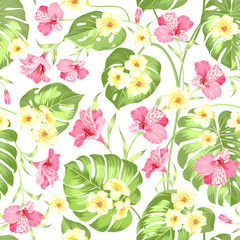 Seamless tropical flower. Tropical flowers and jungle palms. Beautiful fabric pattern with a tropical flowers isolated over white background. Blossom plumeria for seamless pattern background.