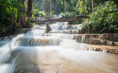 Pu Kaeng waterfall the most beautiful limestone waterfall in Chiangrai province of Thailand.