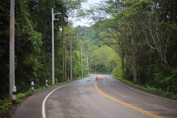 Fototapeta premium road and forest in Pang Sida National Park at Thailand