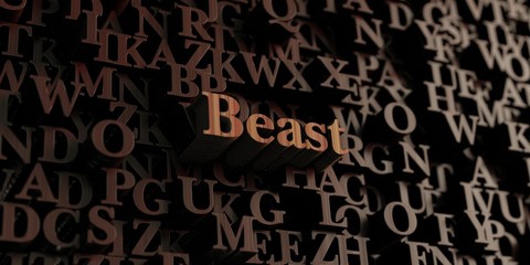 Beast - Wooden 3D rendered letters/message.  Can be used for an online banner ad or a print postcard.