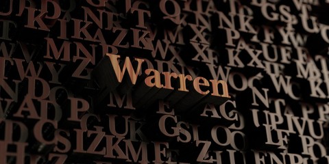 Warren - Wooden 3D rendered letters/message.  Can be used for an online banner ad or a print postcard.