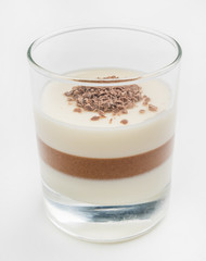 chocolate panna cotta