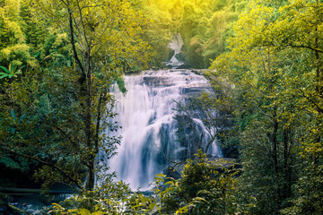 Fototapeta premium Waterfall surrounded by tropical plants in Chiang Mai, Thailand