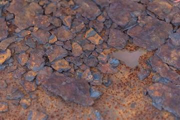 Stripe rust, caused by floor mat gradient.