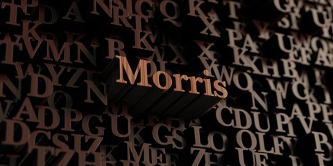 Fototapeta na wymiar Morris - Wooden 3D rendered letters/message. Can be used for an online banner ad or a print postcard.