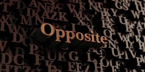Opposite - Wooden 3D rendered letters/message.  Can be used for an online banner ad or a print postcard.