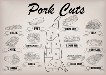 Pork pig side carcass cuts cut parts info graphics scheme sign