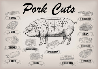 Pork pig side carcass cuts cut parts info graphics scheme sign 