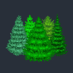 Set of christmas vector tree like fir or pine Blue spruce for New year celebration without holiday decoration, evergreen xmas plants