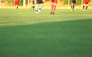 Soccer game players on field © Africa Studio