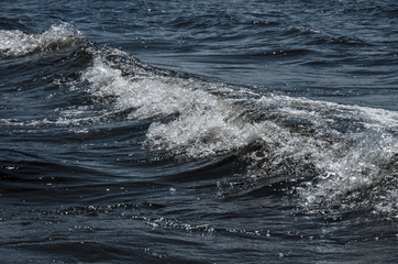 Waves and splashes in the water in windy weather