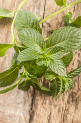 Fresh mint on rustic wooden background