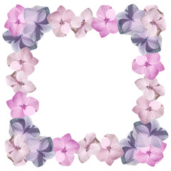 Beautiful floral pattern of pink hydrangeas 