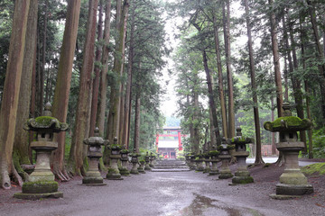 北口本宮富士浅間神社　参道