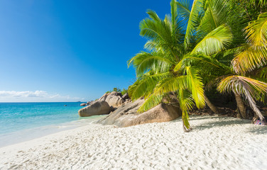Anse Lazio