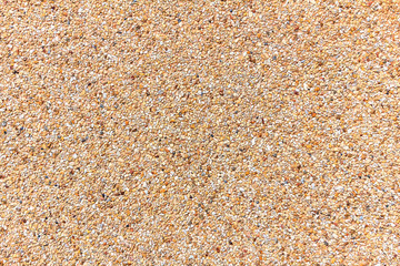 Small sand stone of sand wall texture or sand wall background for design with copy space for text or image.