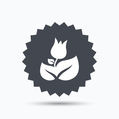 Rose flower icon. Florist plant with leaf sign.