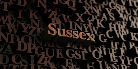 Sussex - Wooden 3D rendered letters/message.  Can be used for an online banner ad or a print postcard.