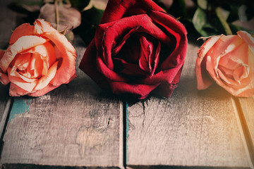 Roses on wooden floor.