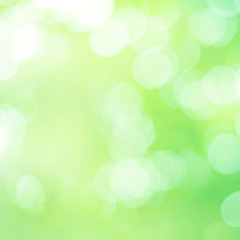 Natural Green Bokeh