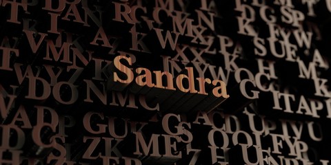 Sandra - Wooden 3D rendered letters/message.  Can be used for an online banner ad or a print postcard.