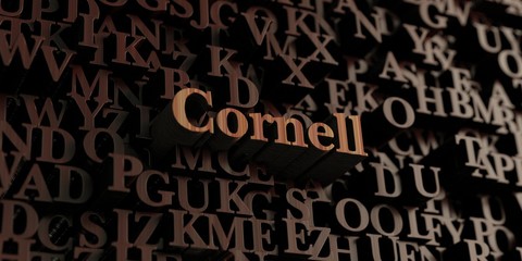 Cornell - Wooden 3D rendered letters/message.  Can be used for an online banner ad or a print postcard.
