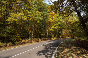 Herbstland- Waldstraße