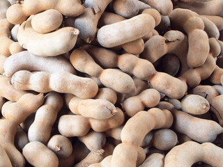 Group of ripe tamarind pods