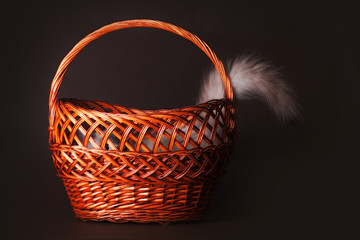 The cat hid in a basket sticking out of one tail.