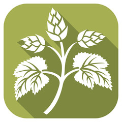 hops leaf flat icon