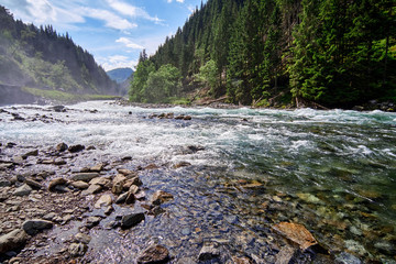 The river Groensdalslona in Norway running wild between the tree covered edges