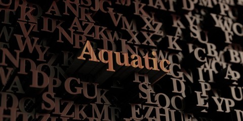 Aquatic - Wooden 3D rendered letters/message.  Can be used for an online banner ad or a print postcard.