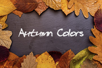 Autumn Leaves Frame on Dark Stone Background. Autumn Colors Concept Wallpaper.