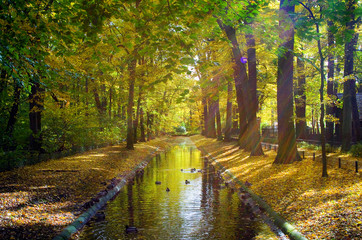 Obraz premium Streaks of sun on a canal in autumn 