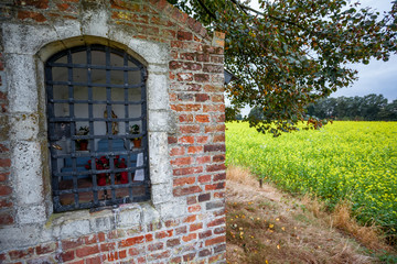 chapel next to an tree