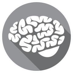 human brain flat icon